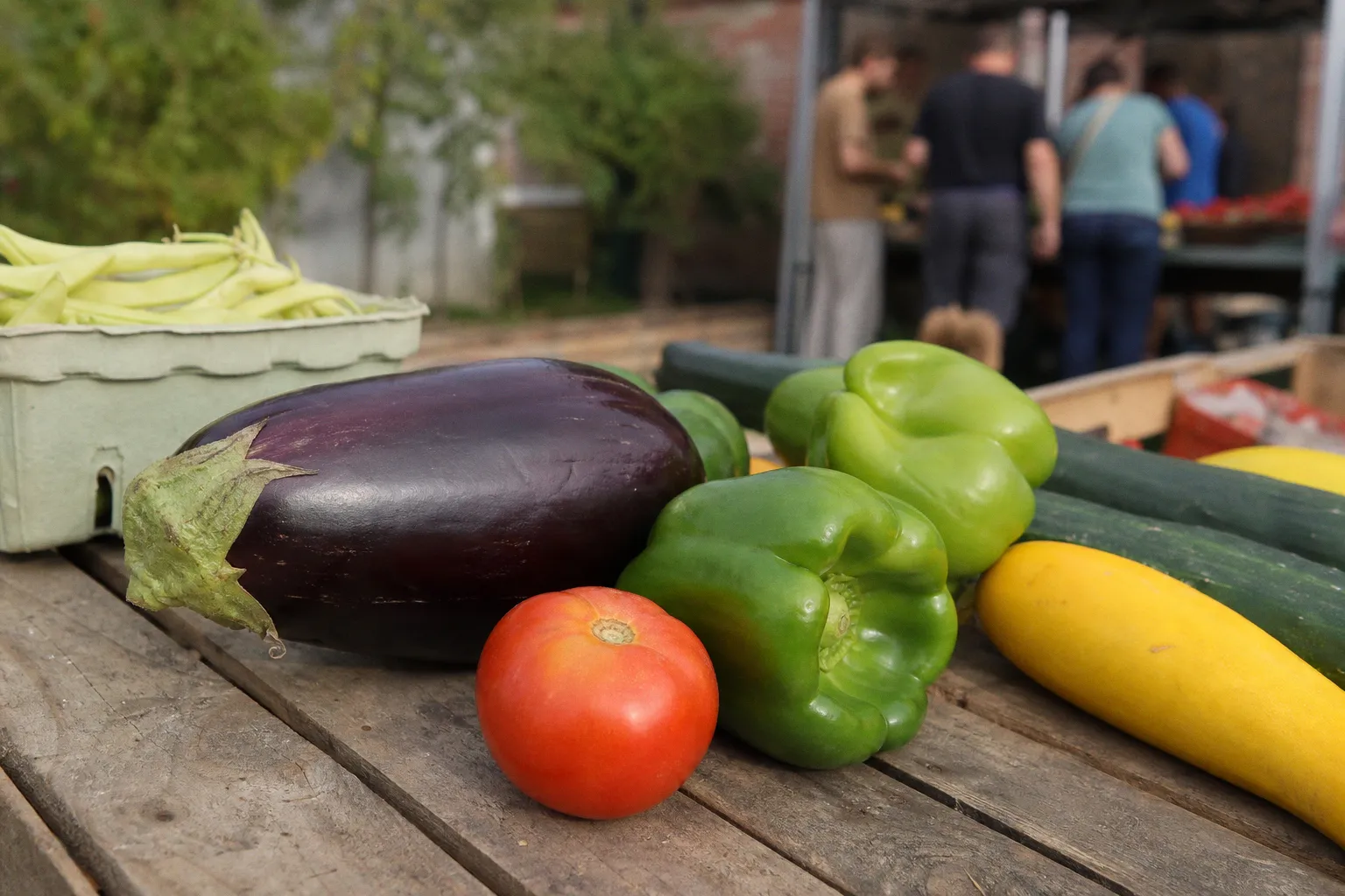 Alimentation durable à Lens-Liévin : comment financer vos projets locaux