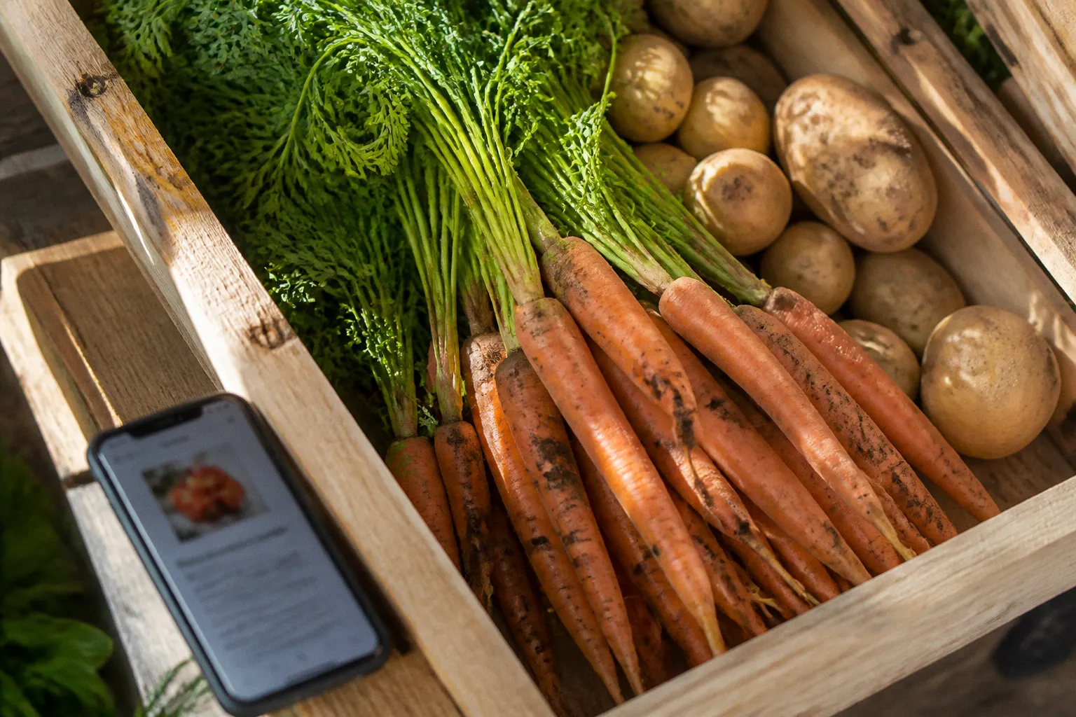 Applications mobiles pour épicerie bio : les outils pour simplifier vos achats