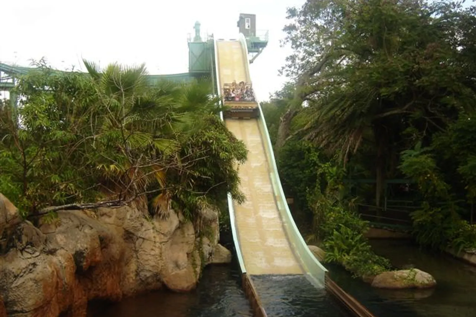 Busch Gardens Tampa Bay visite : quel billet pour quel profil ?