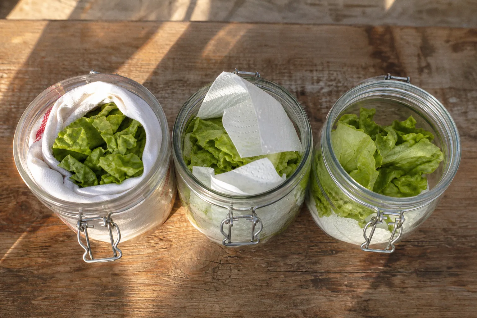 Conservation de la salade bio : le test de trois méthodes