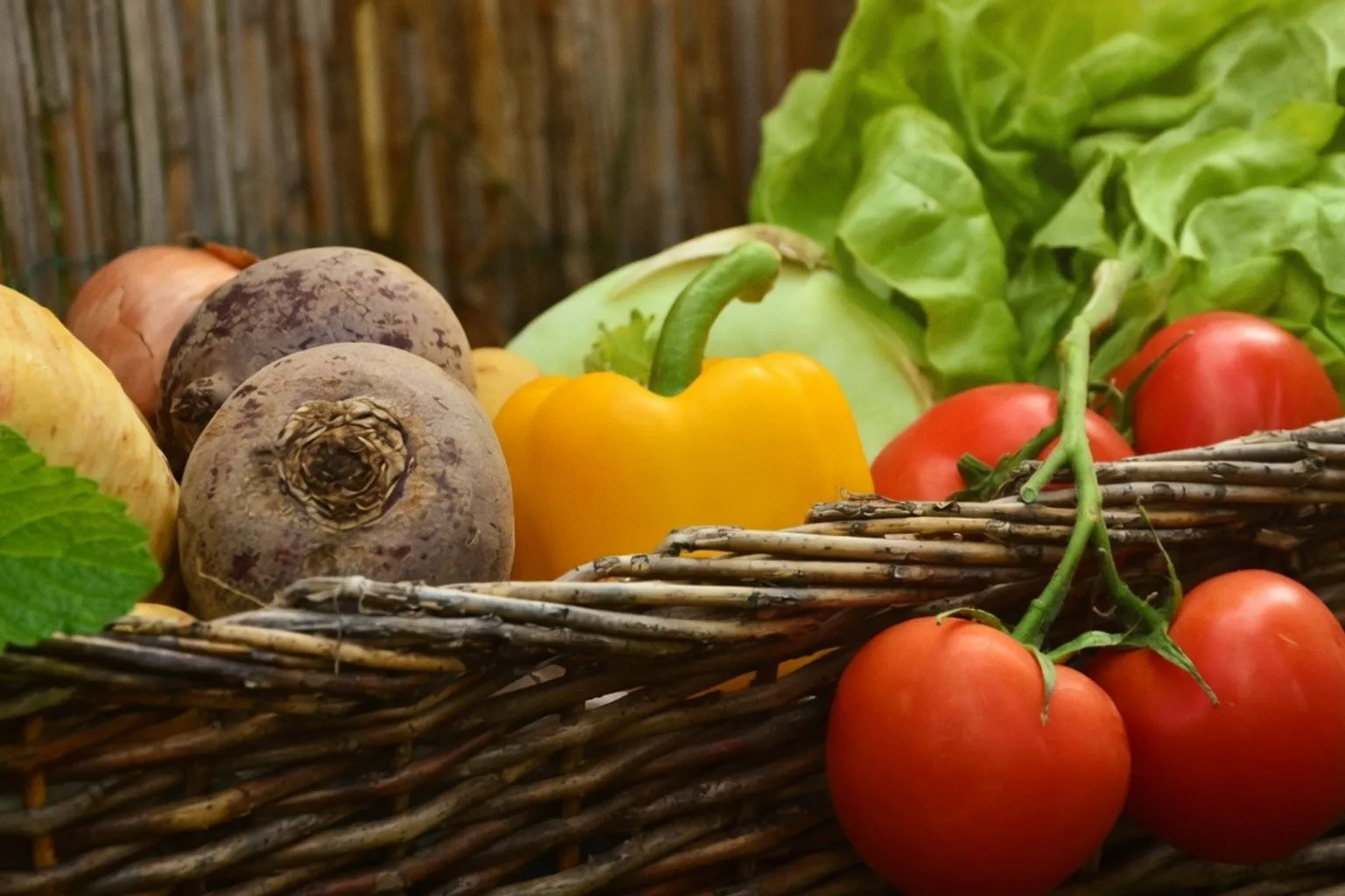 Consommer local à Rouen : le modèle solidaire des Amap pour manger sain