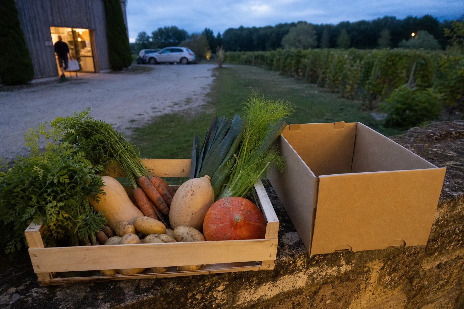 Drive fermier ou magasin bio : quelle option pour quel besoin ?