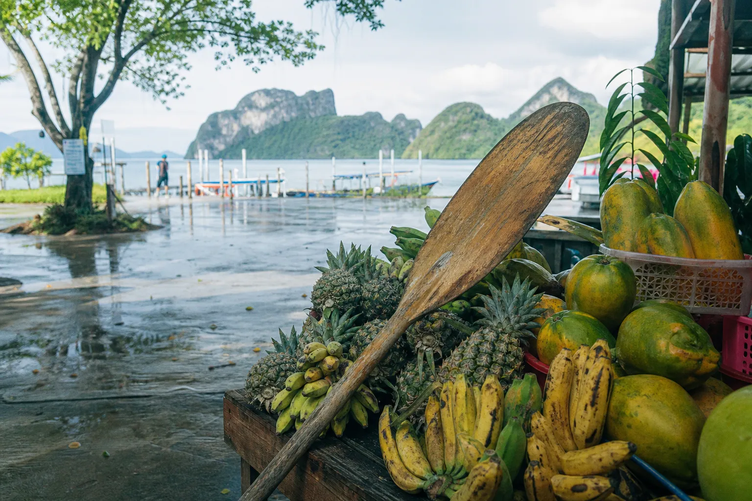 Kayak à Langkawi : ce que révèle notre test des prix sur place