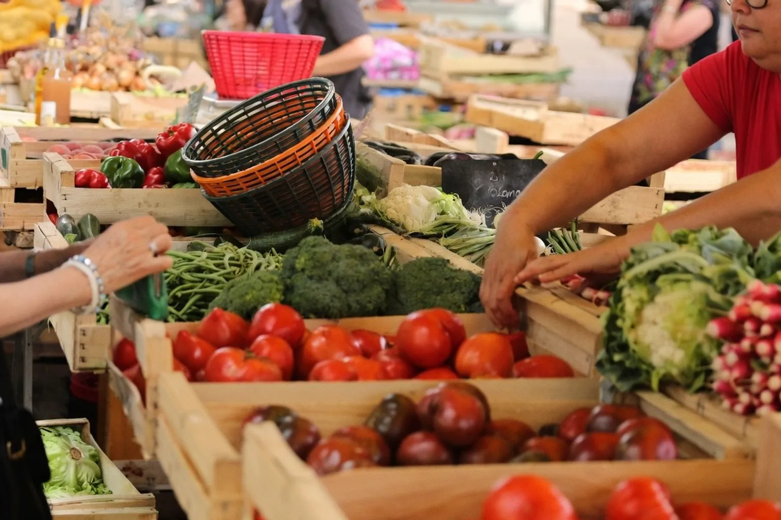 Marchés solidaires et prix libres : comment bien choisir ses produits bio en circuit court