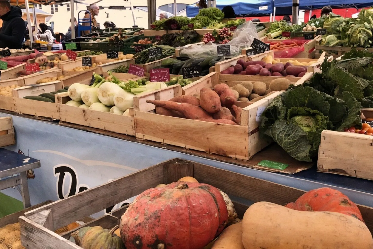Optimisez votre référencement local lors des Rencontres Bio & Pro en Occitanie
