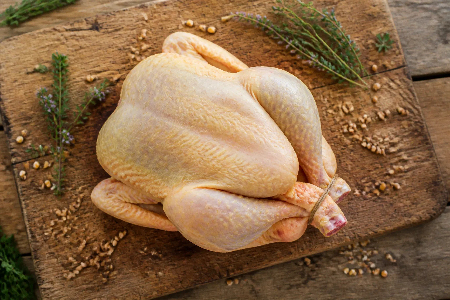 Poulet bio fermier : son prix élevé est-il justifié ?