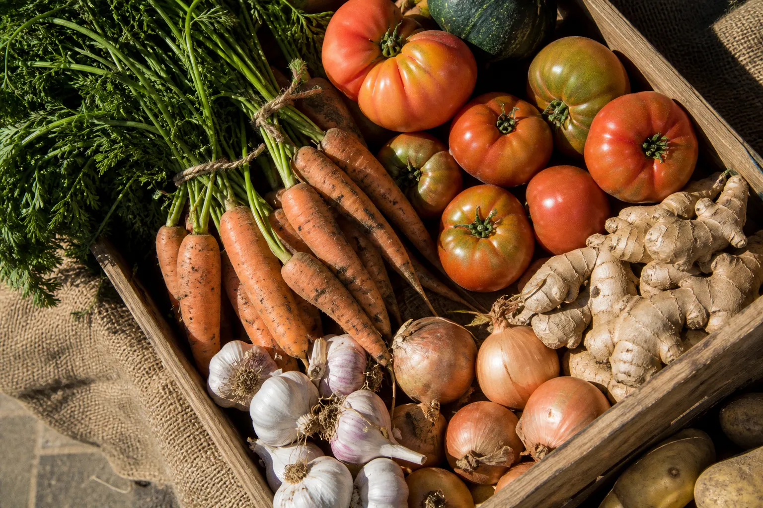 Recettes bio de saison : le verdict pour bien choisir